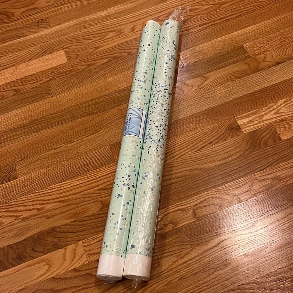 NWT Anthropologie Wallshoppe Parsons Paint Wall paper Robins Egg 2 Rolls